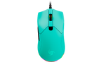 Aurora Azul Polar